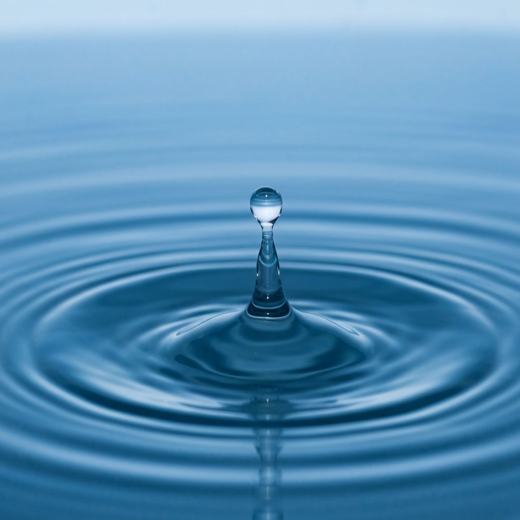 Water Management
